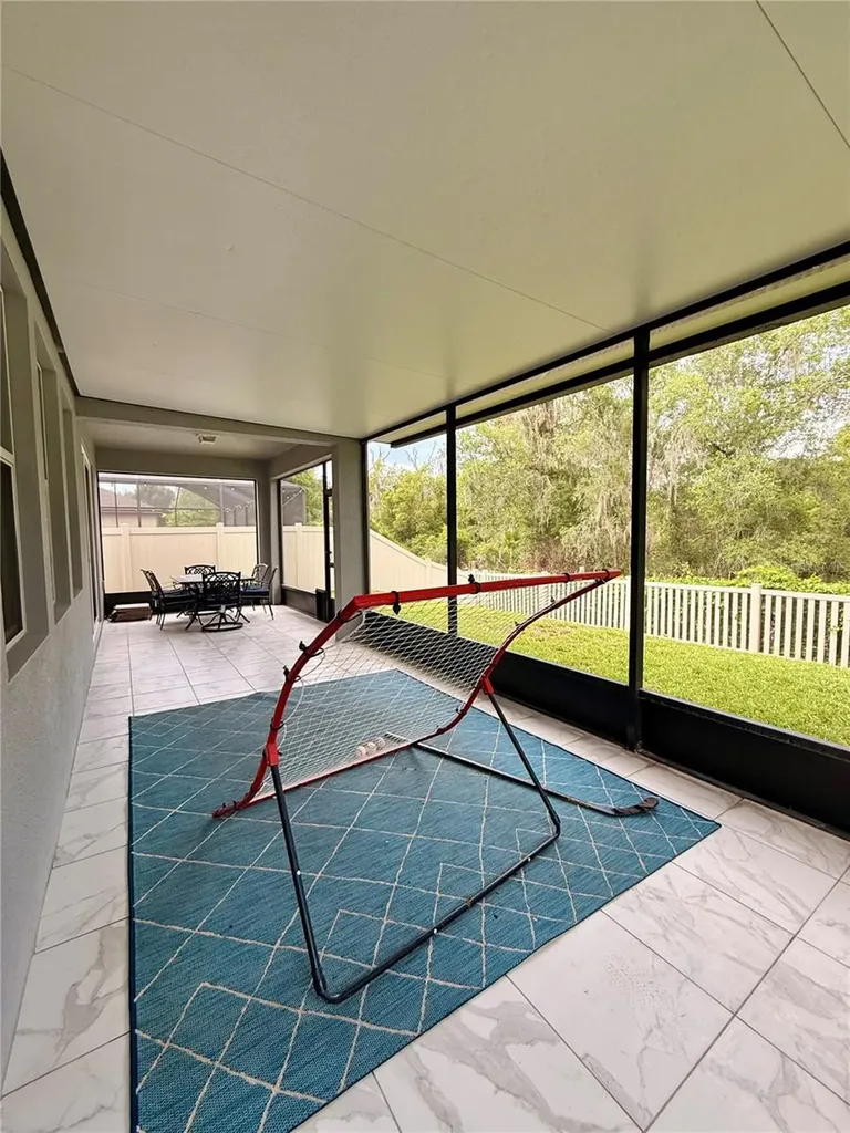 14250 Blue Dasher Drive Riverview FL 33569