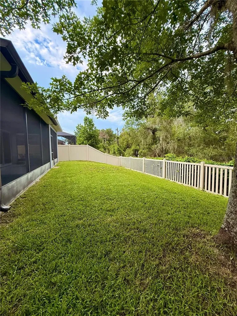14250 Blue Dasher Drive Riverview FL 33569