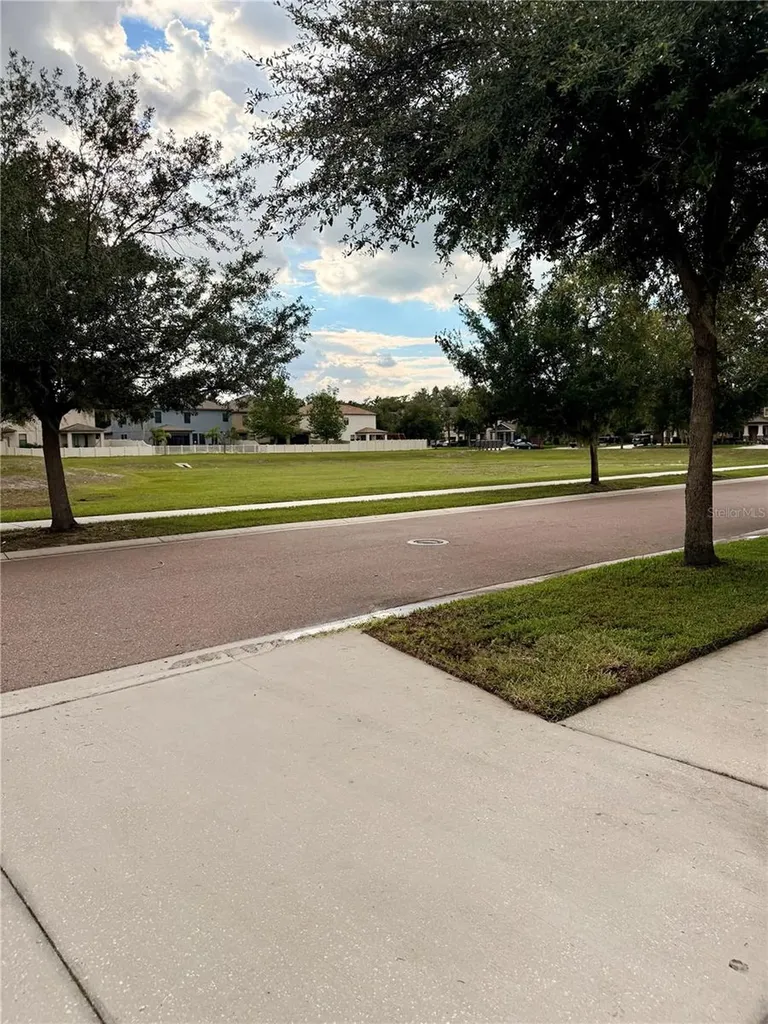 14250 Blue Dasher Drive Riverview FL 33569