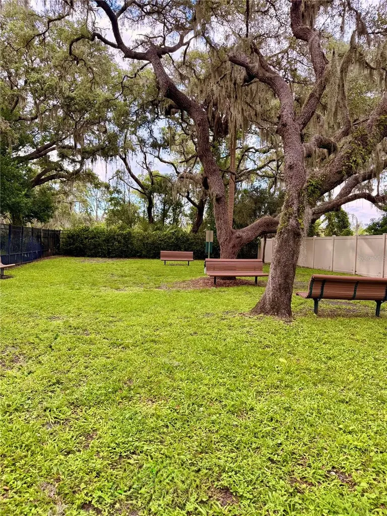 14250 Blue Dasher Drive Riverview FL 33569