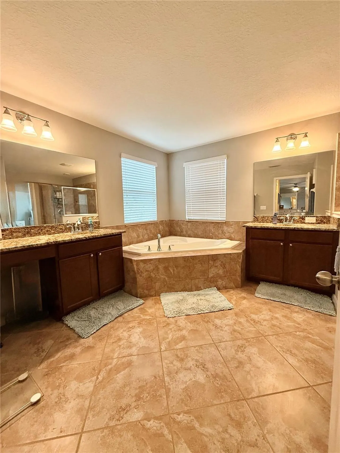 14250 Blue Dasher Drive Riverview FL 33569
