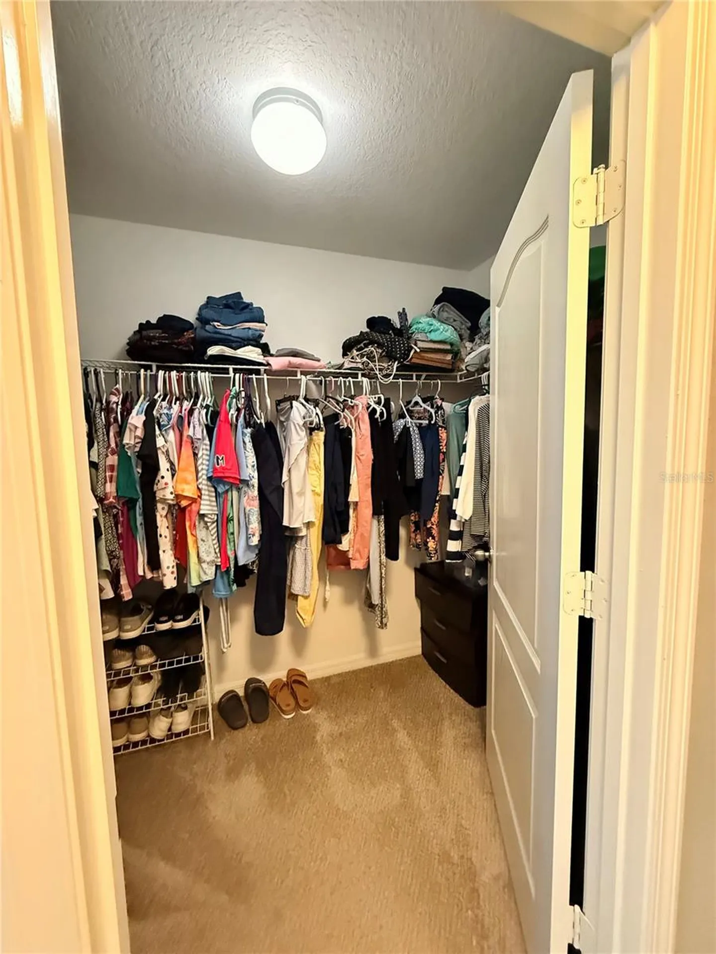 14250 Blue Dasher Drive Riverview FL 33569