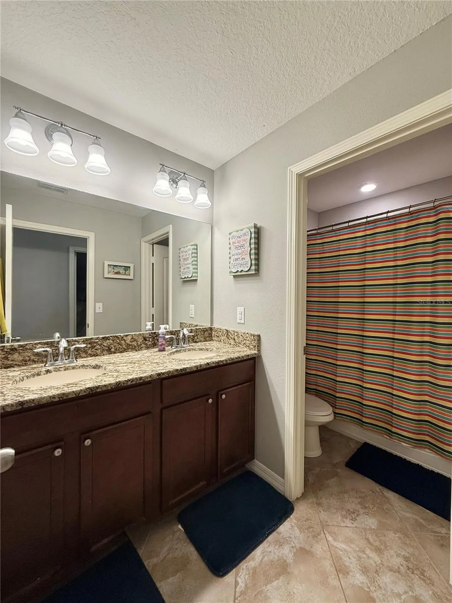 14250 Blue Dasher Drive Riverview FL 33569