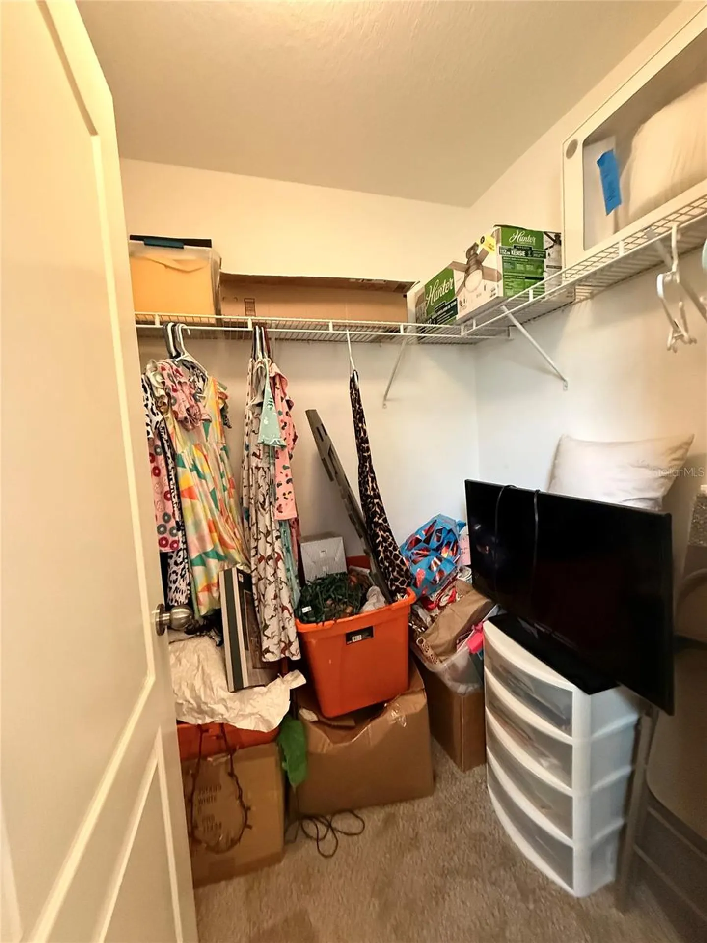 14250 Blue Dasher Drive Riverview FL 33569
