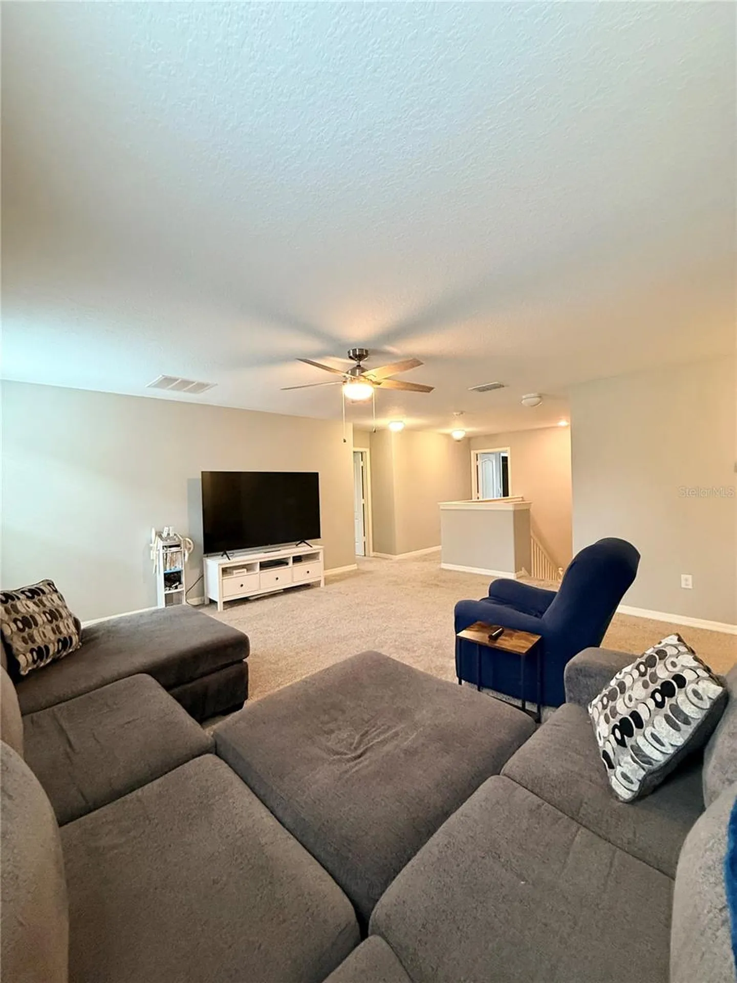 14250 Blue Dasher Drive Riverview FL 33569