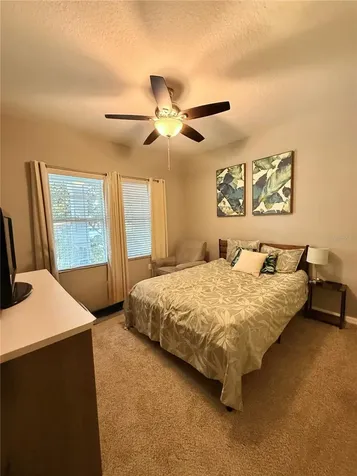 14250 Blue Dasher Drive Riverview FL 33569
