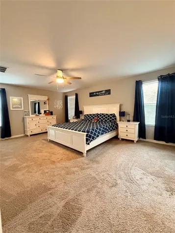 14250 Blue Dasher Drive Riverview FL 33569