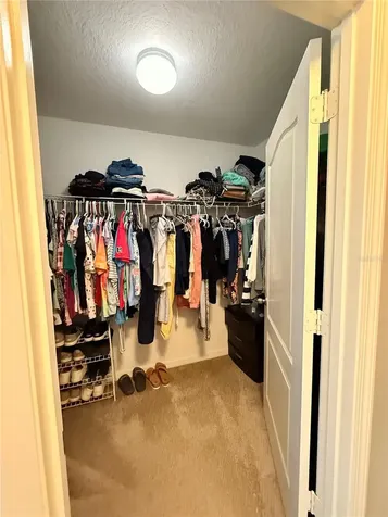 14250 Blue Dasher Drive Riverview FL 33569