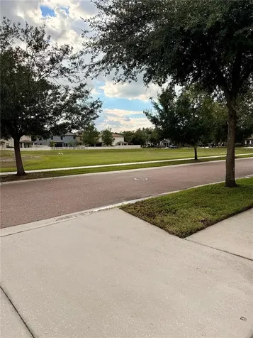 14250 Blue Dasher Drive Riverview FL 33569