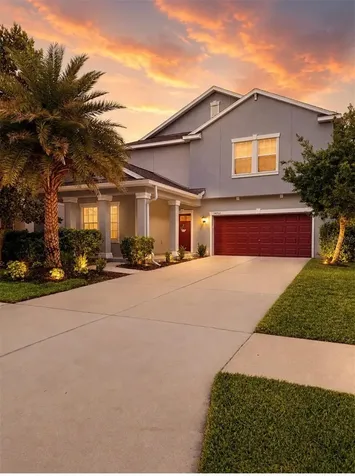 14250 Blue Dasher Drive Riverview FL 33569