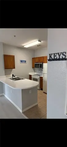 8103 Lillies Way Orlando FL 32825