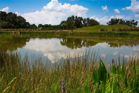 13411 Heritage Preserve Drive Fort Myers FL 33905