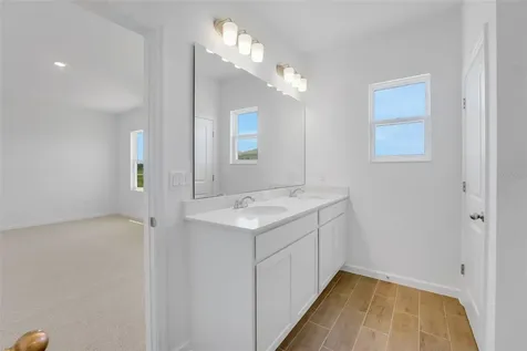874 Sunshower Drive Lady Lake FL 32159
