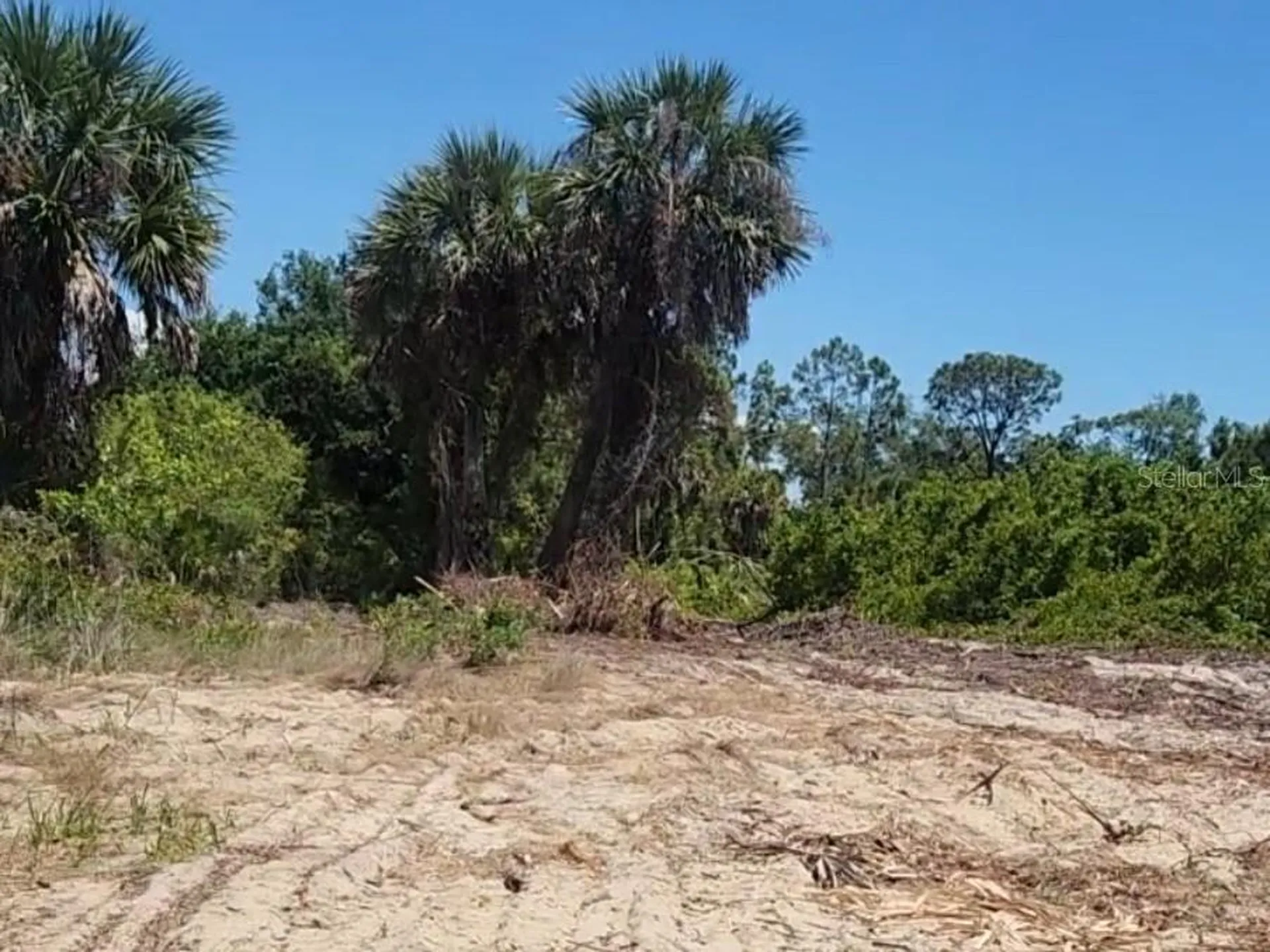 12323 Clarendon Avenue Port Charlotte FL 33981