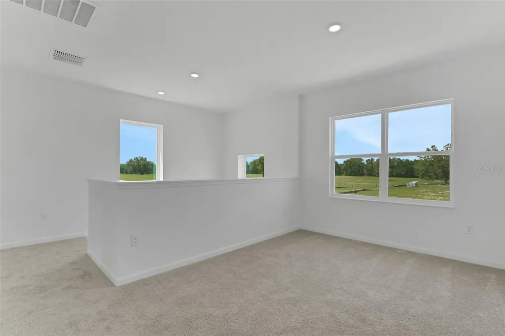1006 Swamp Chestnut Loop Lady Lake FL 32159