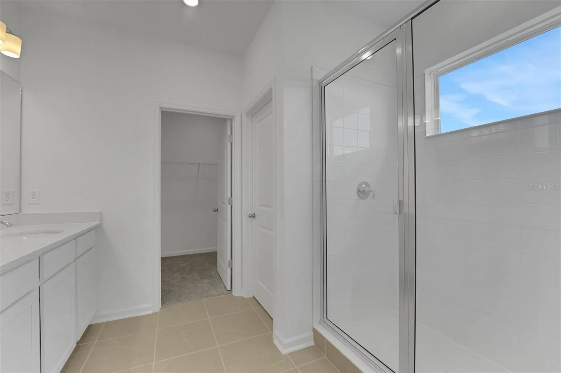 1006 Swamp Chestnut Loop Lady Lake FL 32159