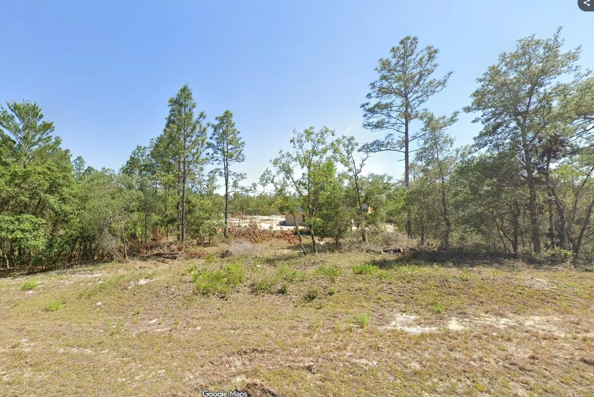 SW North Lake Boulevard Dunnellon FL 34431
