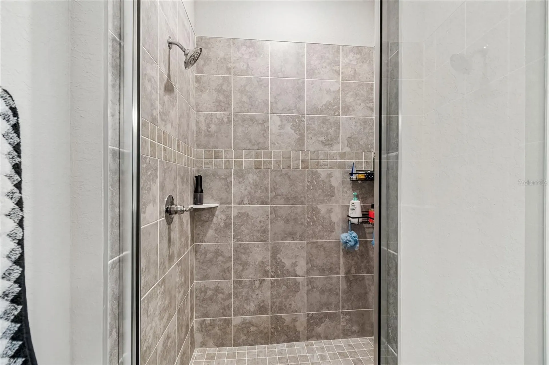 35271 Crescent Creek Drive Zephyrhills FL 33541