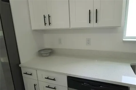 8924 N Orleans Avenue Tampa FL 33604