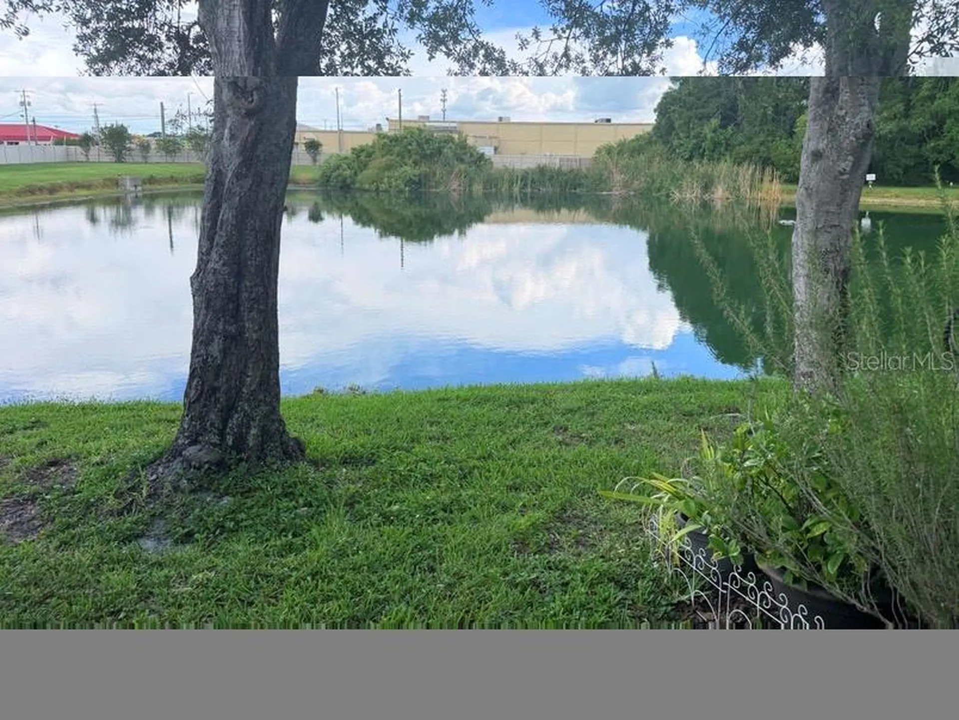 7514 Colonial Court Tampa FL 33615