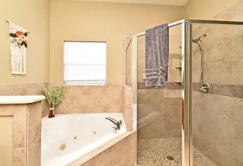 11994 Mckinnon Road Windermere FL 34786