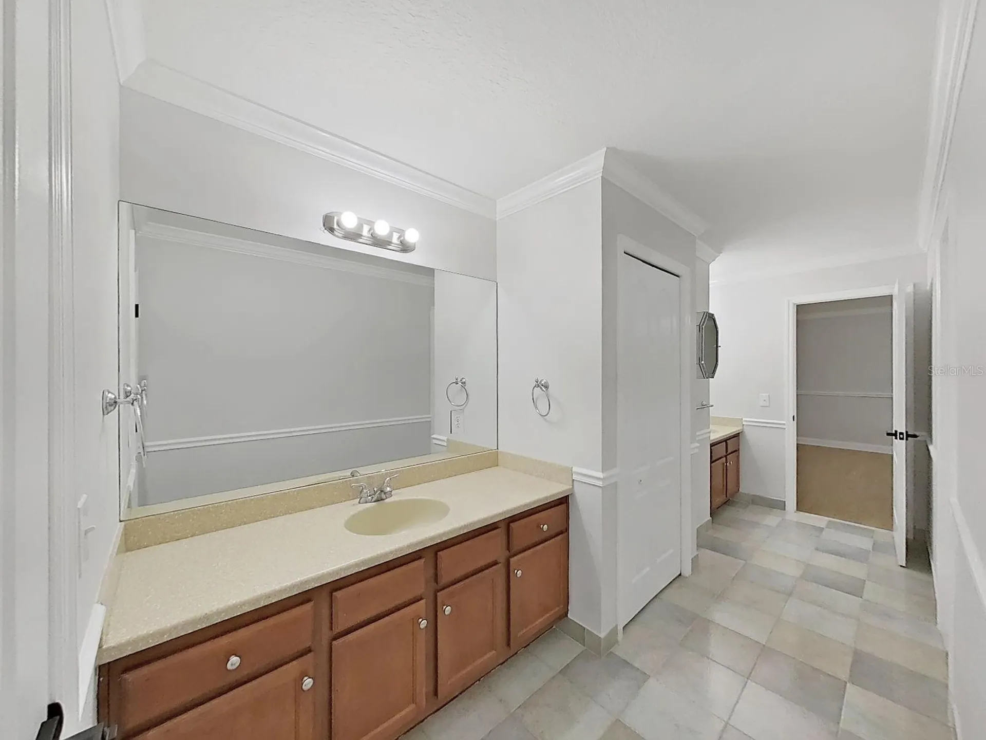 3322 Schefflera Road Tampa FL 33618