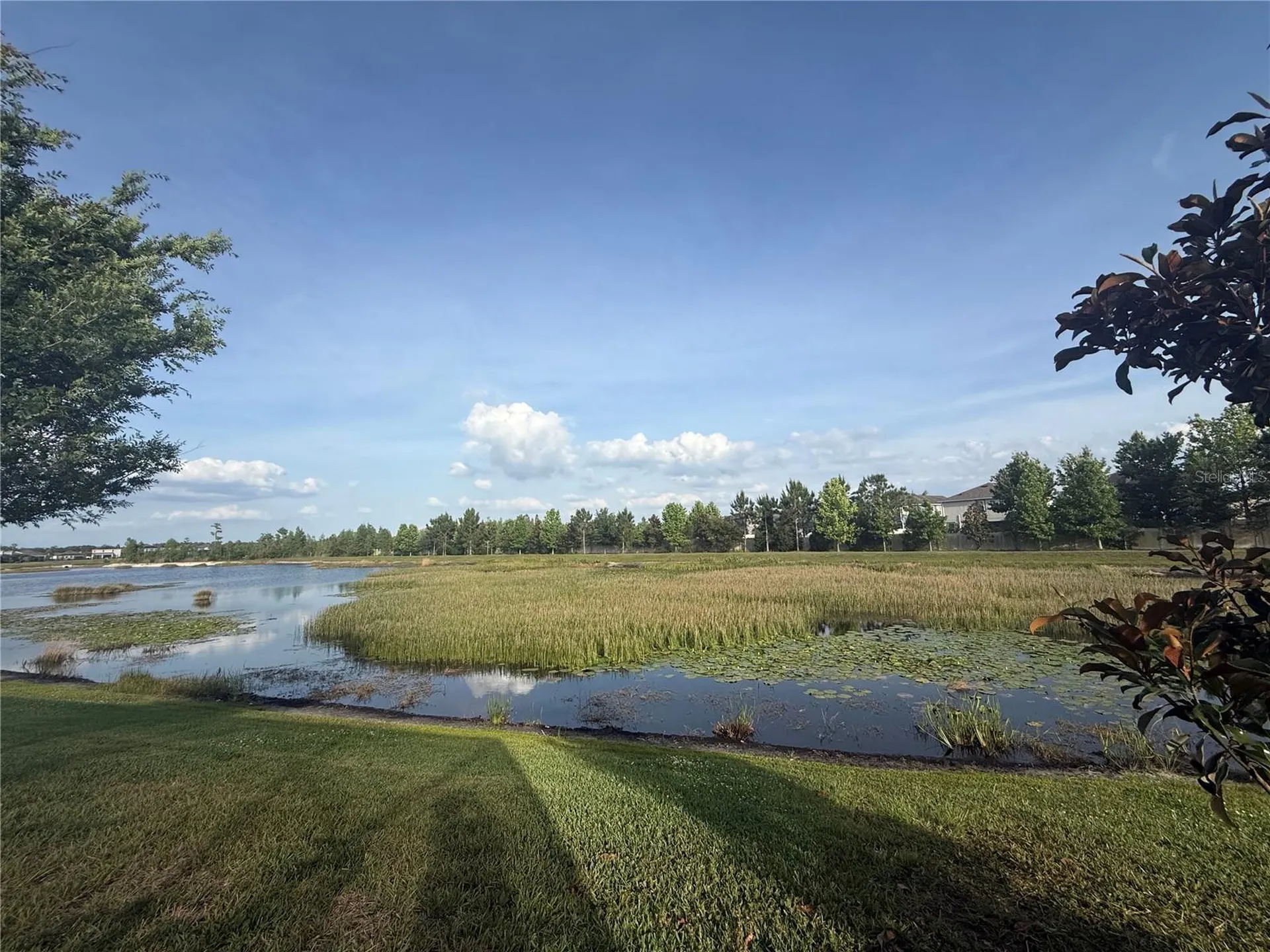 19186 Blue Pond Drive Lutz FL 33558