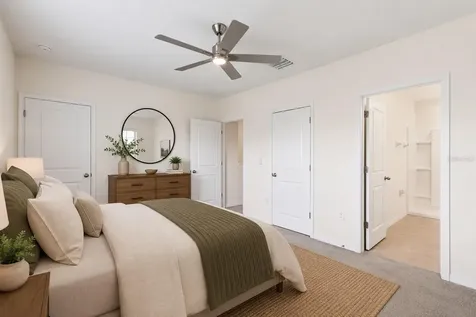 34347 Sorrel Mint Drive Wesley Chapel FL 33543