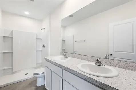 34347 Sorrel Mint Drive Wesley Chapel FL 33543
