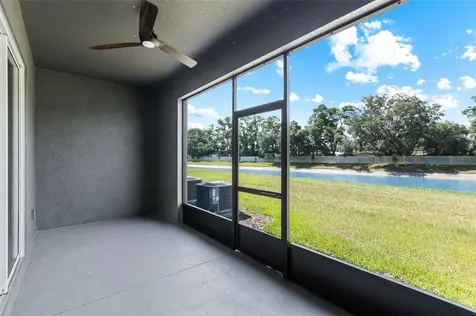 34347 Sorrel Mint Drive Wesley Chapel FL 33543