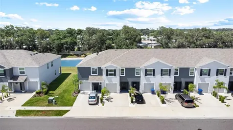 34347 Sorrel Mint Drive Wesley Chapel FL 33543