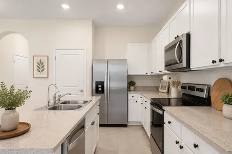 34347 Sorrel Mint Drive Wesley Chapel FL 33543