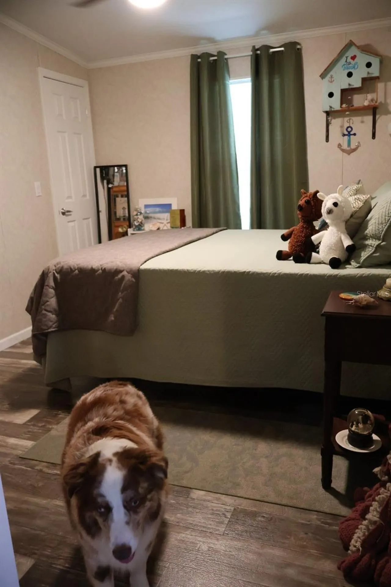 9028 West Street Brooksville FL 34601