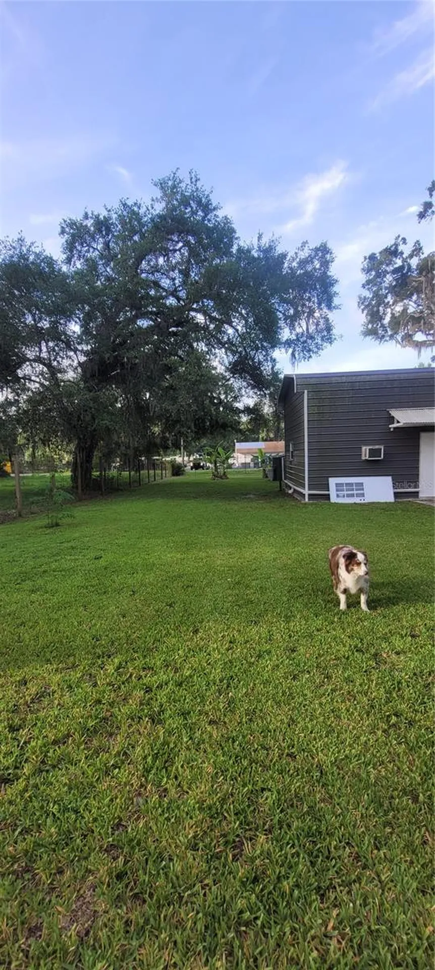 9028 West Street Brooksville FL 34601