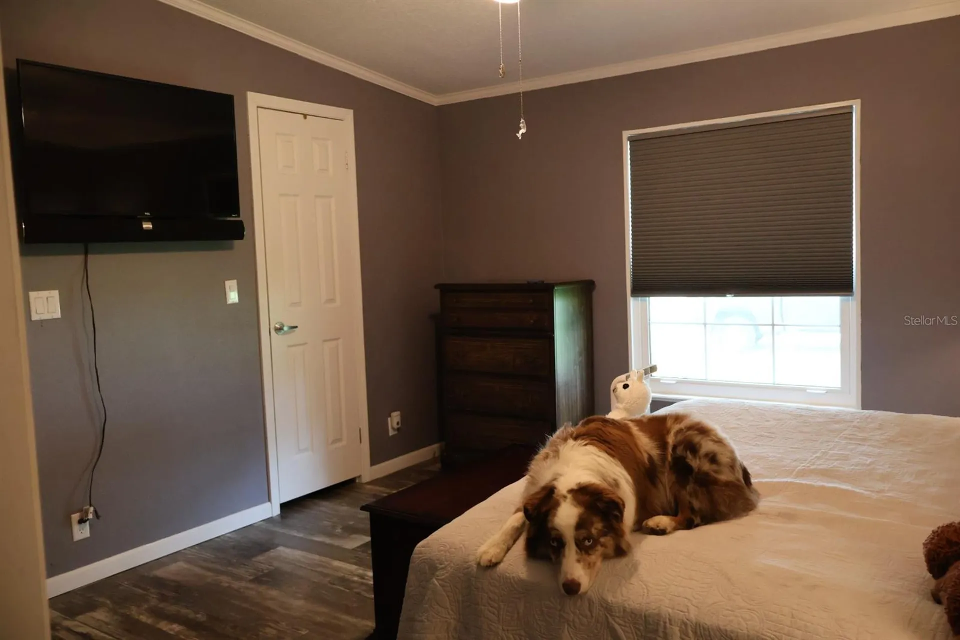 9028 West Street Brooksville FL 34601
