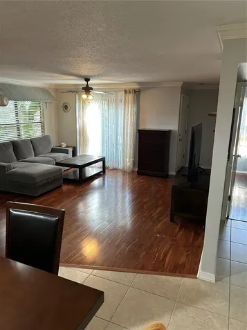 1505 Lennox Road E Palm Harbor FL 34683
