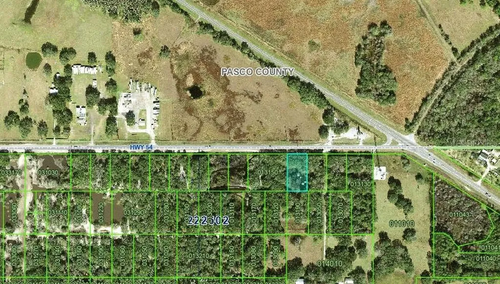 Highway 54 Kathleen FL 33849
