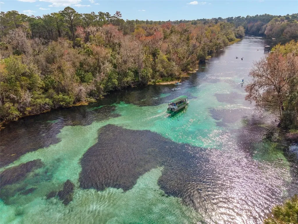 19654 SW 88th Loop Dunnellon FL 34432