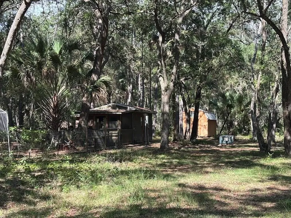 10415 NE 142nd Place Fort Mc Coy FL 32134