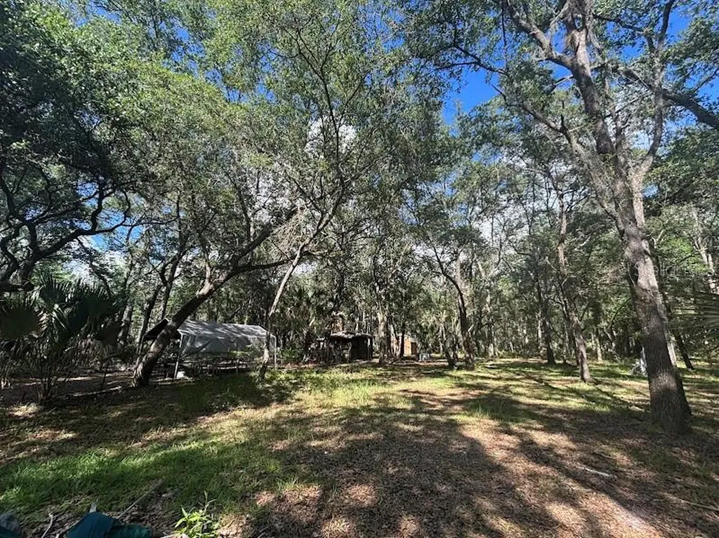 10415 NE 142nd Place Fort Mc Coy FL 32134