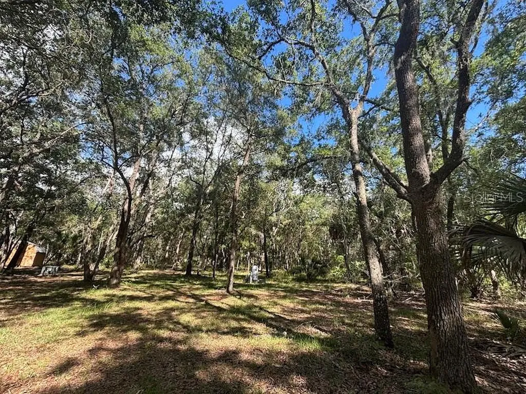 10415 NE 142nd Place Fort Mc Coy FL 32134