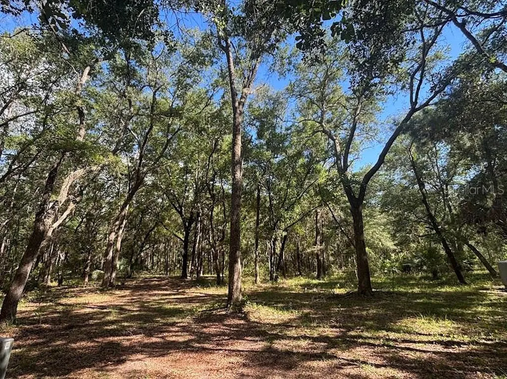 10415 NE 142nd Place Fort Mc Coy FL 32134