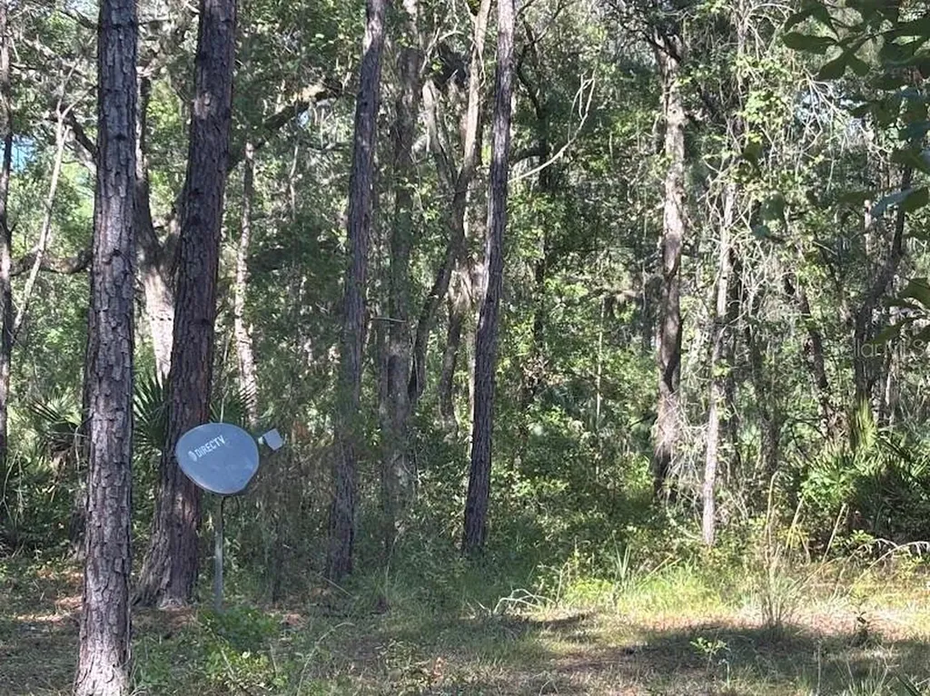10415 NE 142nd Place Fort Mc Coy FL 32134