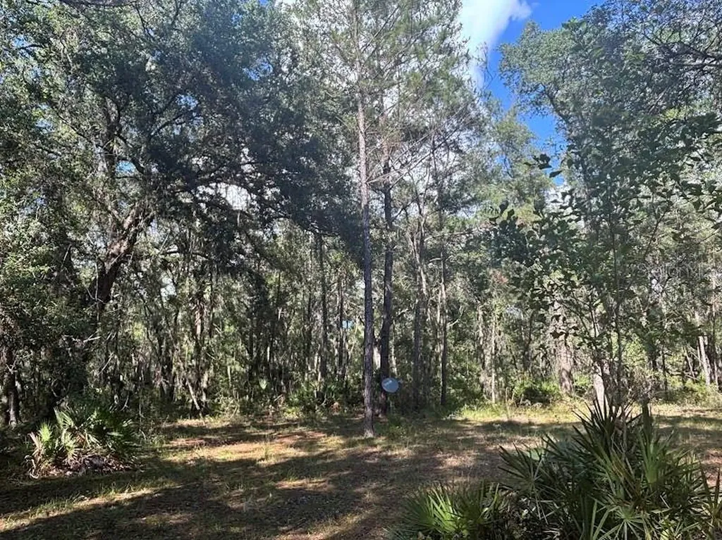 10415 NE 142nd Place Fort Mc Coy FL 32134