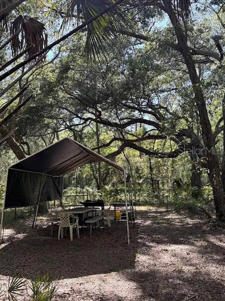 10415 NE 142nd Place Fort Mc Coy FL 32134