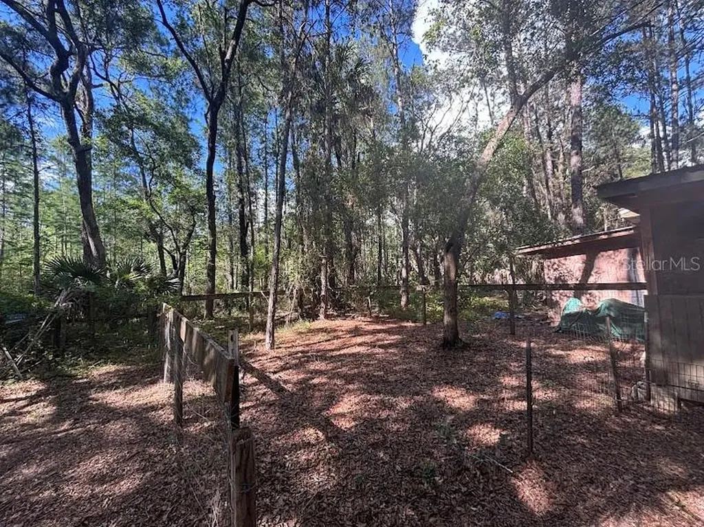 10415 NE 142nd Place Fort Mc Coy FL 32134