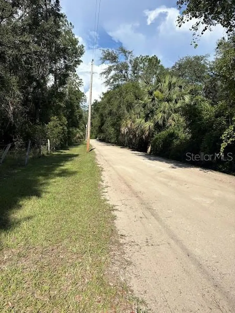 10415 NE 142nd Place Fort Mc Coy FL 32134