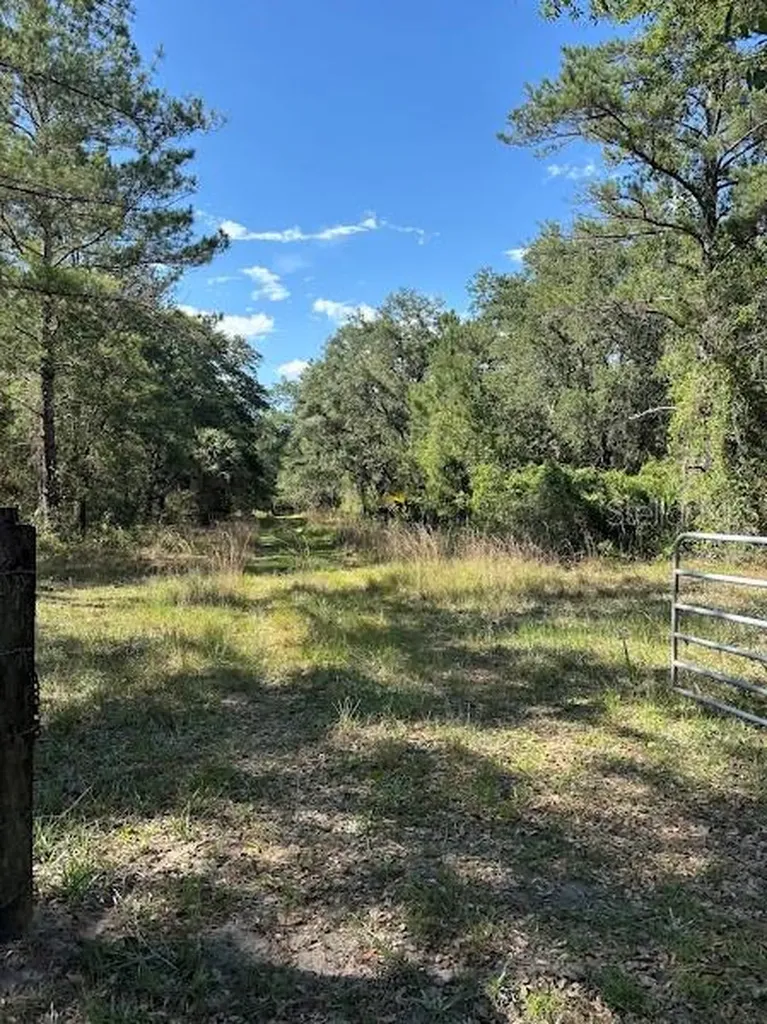 10415 NE 142nd Place Fort Mc Coy FL 32134