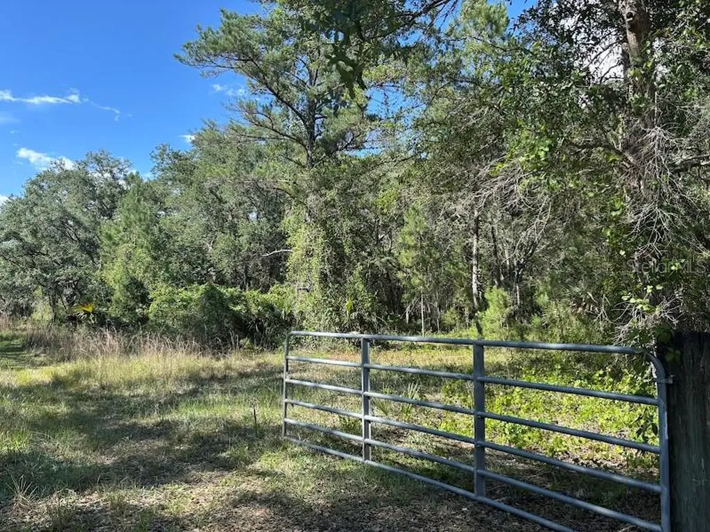 10415 NE 142nd Place Fort Mc Coy FL 32134