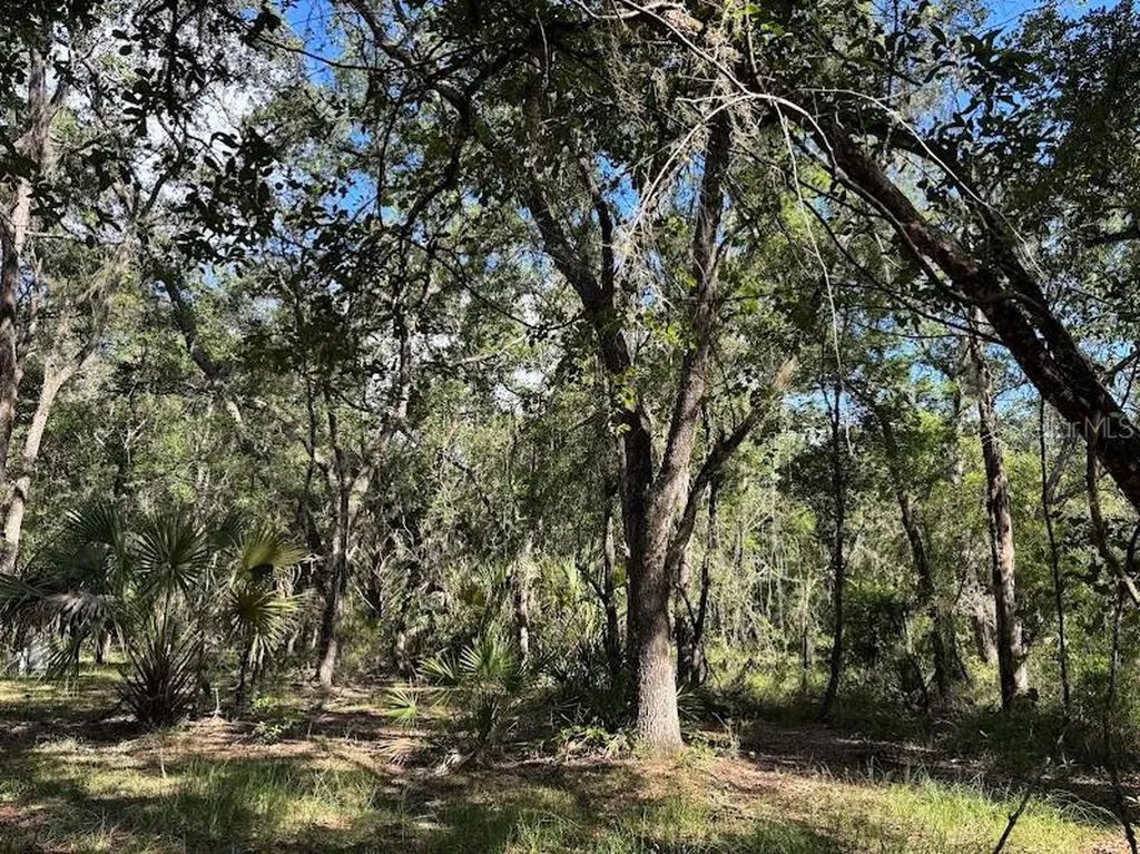 10415 NE 142nd Place Fort Mc Coy FL 32134